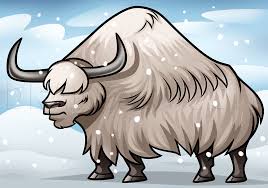 Drawing A Yak Step By Step Step By Step Drawing Guide By Dawn Dragoart Com Learn how to draw yak pictures using these outlines or print just for coloring. drawing a yak step by step step by