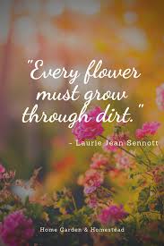 Wise Words 3 Flowers Wisdom Gardenquotes Garden Quotes Gardening Quotes Funny Inspirational Words Of Wisdom