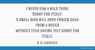 Know another quote from wild things? I Never Saw A Wild Thing Sorry For Itself A Small Bird Will Drop Frozen Dead