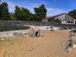 Banham Zoo Norwich Penguin Natural Landmarks Days Out Photo