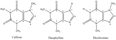 Https Www Cir Safety Org Sites Default Files Xanthine 20alkaloids Pdf