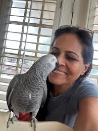 Let's welcome our new members! Feel free to ask questions, and sometimes  take feedback with a 'grain of salt'. Please adhere to the group rules and  enjoy the interaction with other members. *