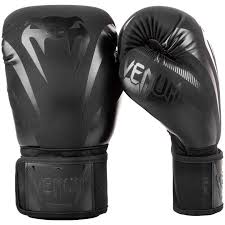 The meister pro boxing gloves are easily and hands down one of the best choices for women/youth boxers, with its features targeted to beginners. 10 Best Boxing Gloves In The Philippines 2021 Top Brands Reviews