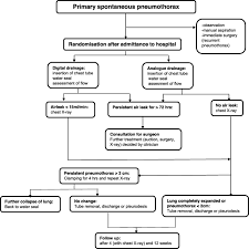 The air can leak from the lung or can come from the atmosphere outside the body. Digital Versus Analogue Chest Drainage System In Patients With Primary Spontaneous Pneumothorax A Randomized Controlled Trial Springerlink