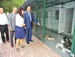 Yildirim A Hayvan Hastanesi Bursa Iline Bagli Yildirim Ilcesi
