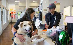 Northeast Adoption Center Low Cost Clinic