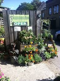 Pin On Plant Nurseries