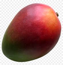 At happy mango, we believe that going green is affordable and stylish. Mango Fruit Png Mango Transparent Png 1044x1027 6724666 Pngfind