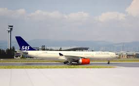 Image result for Gray 1998 Fleet