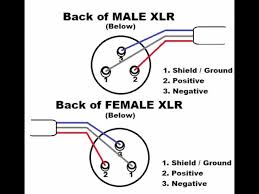 There is no standard colour code for xlr connectors. 2 1 Xlr Wiring Diagram Duncan Meter Wiring Diagram Begeboy Wiring Diagram Source