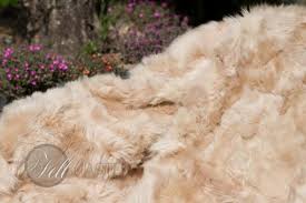 Buy a camel coat now and you'll still be wearing it for years to come. Toscana Shearling Blanket Throw Camel