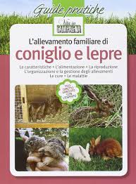 Aziende appartenenti alla categoria merceologica allevamento di conigli. Amazon It L Allevamento Familiare Di Coniglio E Lepre Papeschi Cristiano Libri