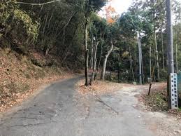 道順 有限会社フリーマーケット123 トラック123 への道案内 行き方 会社風景 今日のトラック１２３ スタッフblog 大阪の再生中古トラック専門店 販売 買取 トラック１２３ 風景 駅 フリーマーケット