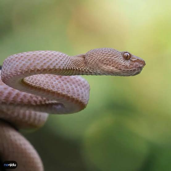 Bir kimsenin a����n� aramaya �al��mak..