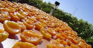 Malatya haber, malatya ile ilgili güncel haberler, yazar yorumları, özel haberler, videolar, röportajlar. Apricot Capital Malatya Boosts Export By Volume Value Daily Sabah