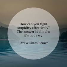 A man profits more by the sight of an idiot than by the orations of the learned. 65 Stupid Quotes That Ll Give Cognizance Of Being Foolish