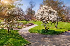 Botanischer garten münchen die 21. Sunny Fruhlingsmorgen Im Botanischen Garten Der Stadt Essen Schone Landschaft Im Freien In Deutsch Europa Lizenzfreie Fotos Bilder Und Stock Fotografie Image 39534970