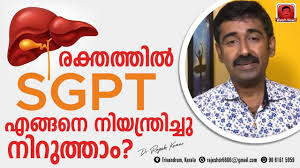 Hi i am got my blood test report i have sgpt 69 highest range 48 and little elivated uric acid, rest. à´°à´• à´¤à´¤ à´¤ àµ½ Sgpt à´Žà´™ à´™à´¨ à´¨ à´¯à´¨ à´¤ à´° à´š à´š à´¨ à´± à´¤ à´¤ Youtube