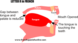 Sounds like 'sick' but without pronouncing 'ck' d: Letter R In French Learn French Online