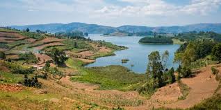 Lake kivu, the true adventure capital for rwanda of rwanda. Rwanda Rema Seals 4 Farms To Protect Biodiversity In Lake Kivu Afrik 21