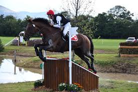Après genève, un jeune cavalier rêve déjà des jo 2018 équitation. Cc Robin Godel Ist Schweizermeister 2018 Der Jungen Vielseitigkeitsreiter Fnch
