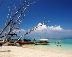 Image of Havelock Wildlife Sanctuary, Havelock Island
