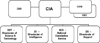 Managing Non Technical Projects Central Intelligence Agency