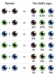 Eye Color Chart