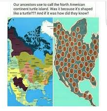 Our Ancestors Use To Call The North American Continent Turtle Island Was It Because It S Shaped Like A Turtle And American Continent North American Ancestor