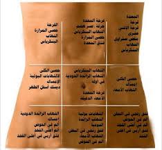 كيف تكتشف مرضك معتمدا على مكان الألم خريطة البطن Best Health Insurance Health Fitness Nutrition Health