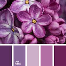 How amazing would it be to have a room in your home painted in either of these colors? Pink And Purple Color Palette Ideas