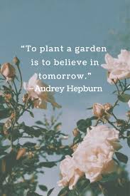 14 Inspirational Flower Quotes For Happier Days Diy Darlin In 2020 Flower Quotes Inspirational Flower Quotes Cute Quotes For Instagram