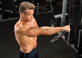 10 Best Muscle Building Shoulder Exercises Muscle