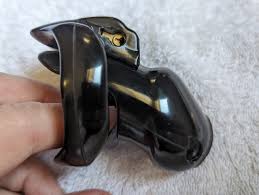 HolyTrainer v4 Chastity Cage - A Review - Steeled Snake