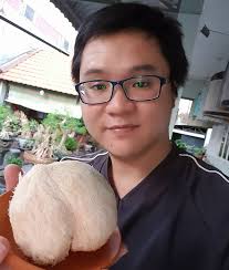 Nấm Hầu Thủ là gì? Các tác dụng tuyệt vời mà Nấm Đầu Khỉ mang lại