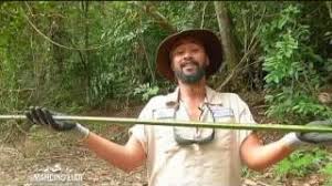 Ewok fishing 52 views1 year ago. Racikan Umpan Ikan Hampala Di Danau Air Jernih Atau Keruh Budidaya Ikan Tips Mancing Resep Olahan Ikan