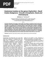 Image result for Monadenium pudibundum