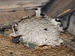 Image result for site:byggahus.se getingar