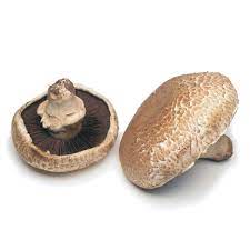 Agaricus bisporus is an edible basidiomycete mushroom native to grasslands in europe and north america. Portobello Mushrooms Ingredient Finecooking