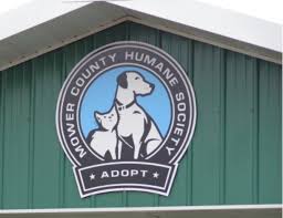 Our staff is available to offer guidance and suggestions during the pet's transition to his or her. Pets For Adoption At Mower County Humane Society In Austin Mn Petfinder