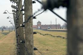 Located near the town of oswiecim in southern poland, auschwitz was actually three camps in one: Four In Ten German School Kids Don T Know What Auschwitz Was Survey Finds The Local