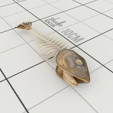 Fish Bones Royalty Free 3d Model Preview No 3 Fish Bone Bones Fish