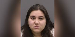 Florida woman sentenced to 5 years in prison for abusing Husky with rubber  mallet