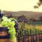 Warwick Valley Winery and Distillery Run 2026