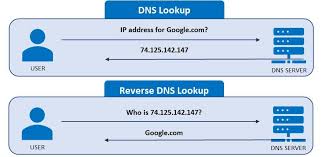 There are two reasons to consider alternative dns services: Reverse Dns Lookup Whatismyip Com