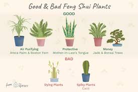 What Are The Good And Bad Feng Shui Plants In 2020 Feng Shui Plants Feng Shui Bedroom Feng Shui Indoor Plants