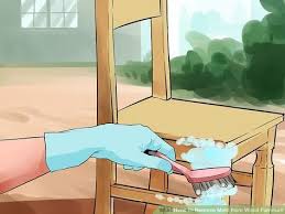 Remove Mold From Wood Furniture Cleaning Mold Cleaning Painted Walls House Cleaning Tips