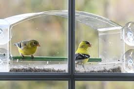 After all, you want to keep birds away from your windows, not close to them. How To Attract Birds To A Window Feeder Bird Feeder Hub
