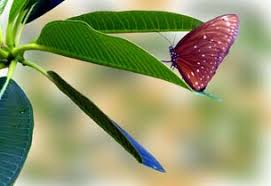 El día 14 de junio, día de las lenguas de signos, hablábamos de la importancia de la persona intérprete como nexo comunicativo de las por eso, desde uso, este 27 de junio solicitamos a las administraciones que tengan en cuenta este tipo de diversidad funcional y que doten a sus servicios. Calendario Dias Internacionales Y Mundiales