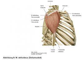 I don't want to (frankie knuckles radio edit)3. Anatomie Physiologie